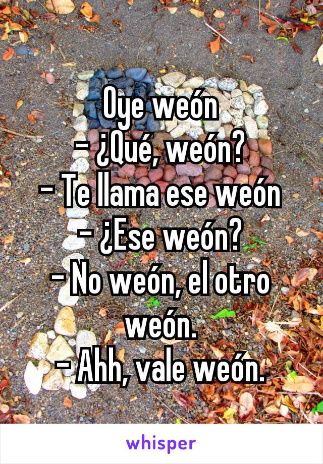 Oye weón
- ¿Qué, weón?
- Te llama ese weón
- ¿Ese weón?
- No weón, el otro weón.
- Ahh, vale weón.