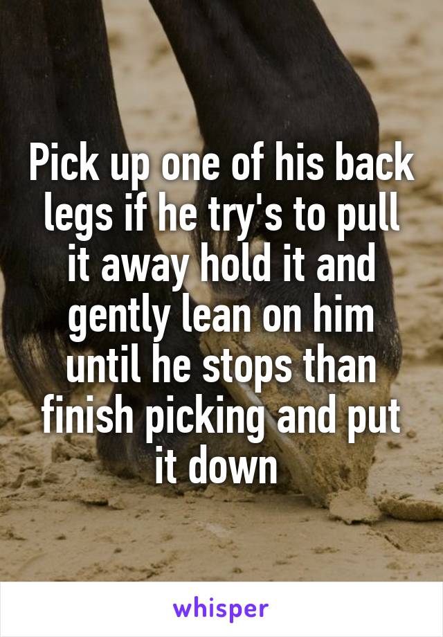 Pick up one of his back legs if he try's to pull it away hold it and gently lean on him until he stops than finish picking and put it down 