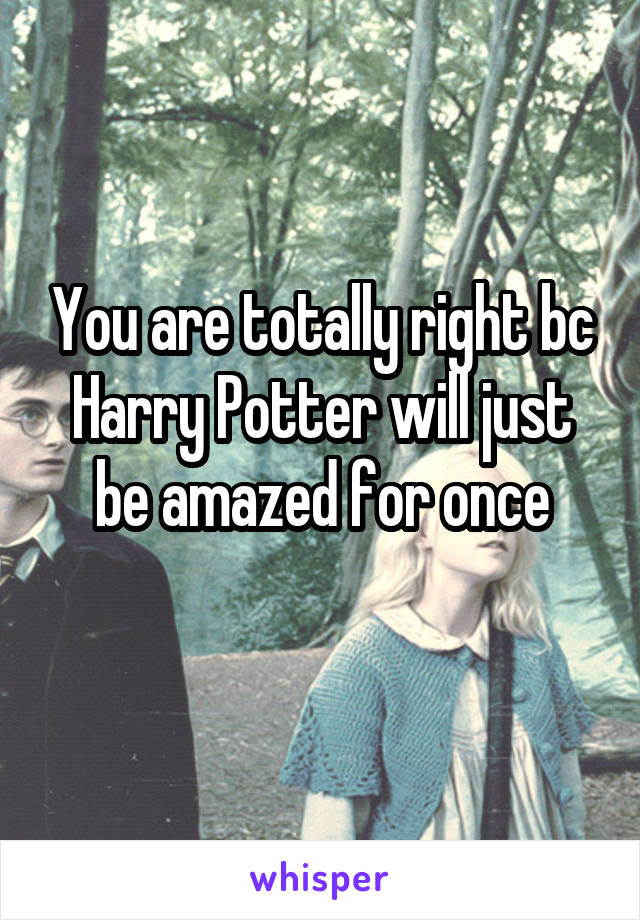 You are totally right bc Harry Potter will just be amazed for once
