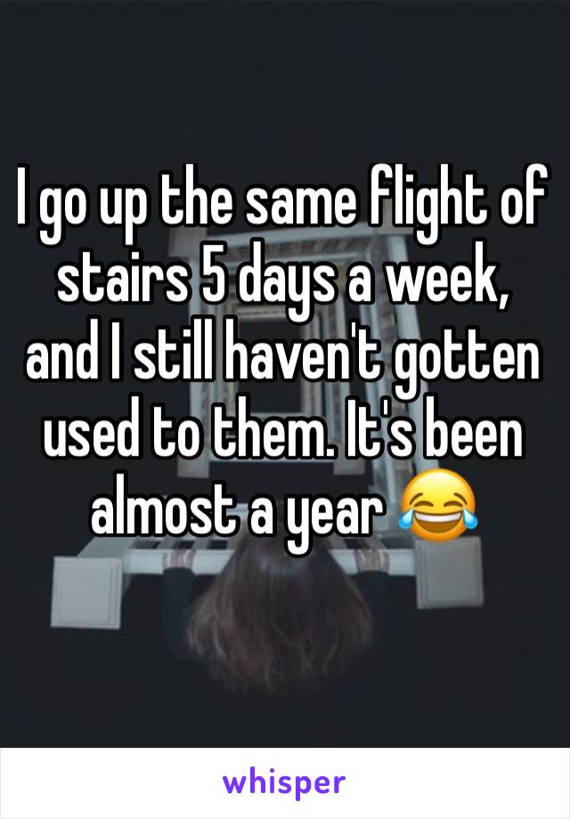 I go up the same flight of stairs 5 days a week, and I still haven't gotten used to them. It's been almost a year 😂