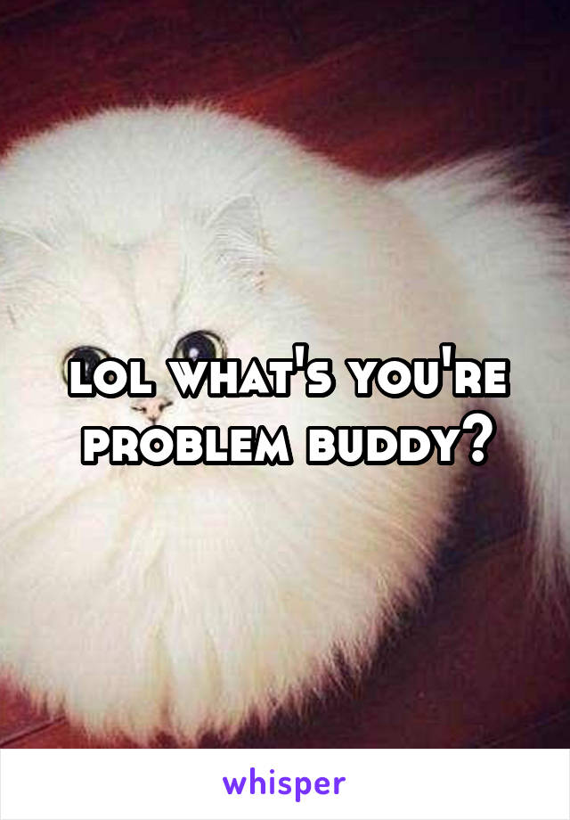 lol what's you're problem buddy?