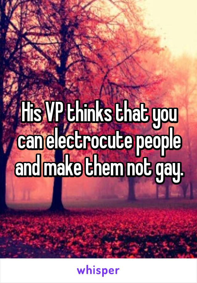 His VP thinks that you can electrocute people and make them not gay.