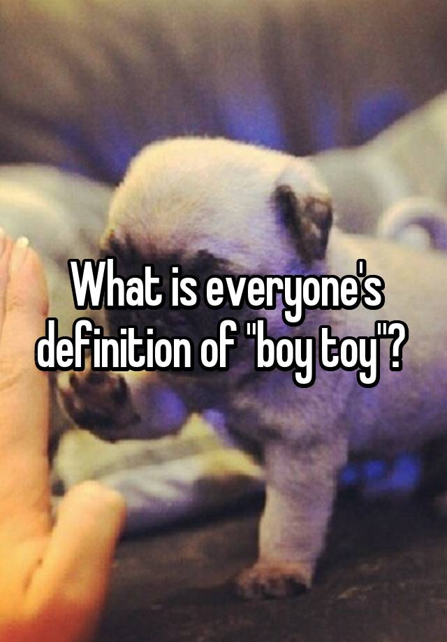 what-is-everyone-s-definition-of-boy-toy