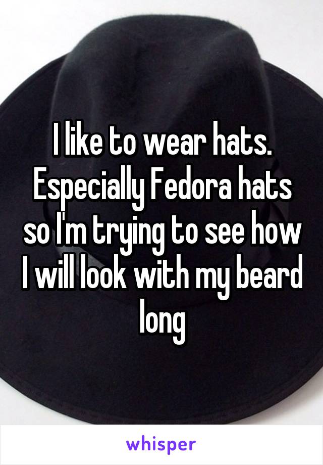 I like to wear hats. Especially Fedora hats so I'm trying to see how I will look with my beard long