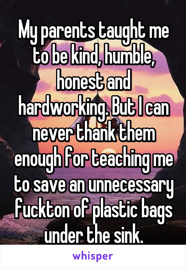 My parents taught me to be kind, humble, honest and hardworking. But I can never thank them enough for teaching me to save an unnecessary fuckton of plastic bags under the sink.