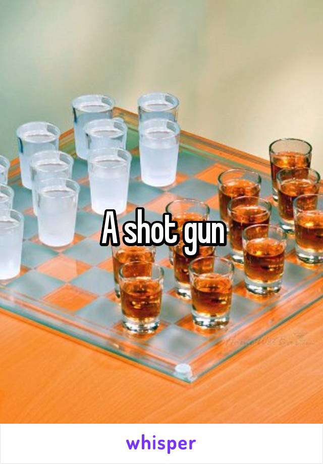 A shot gun