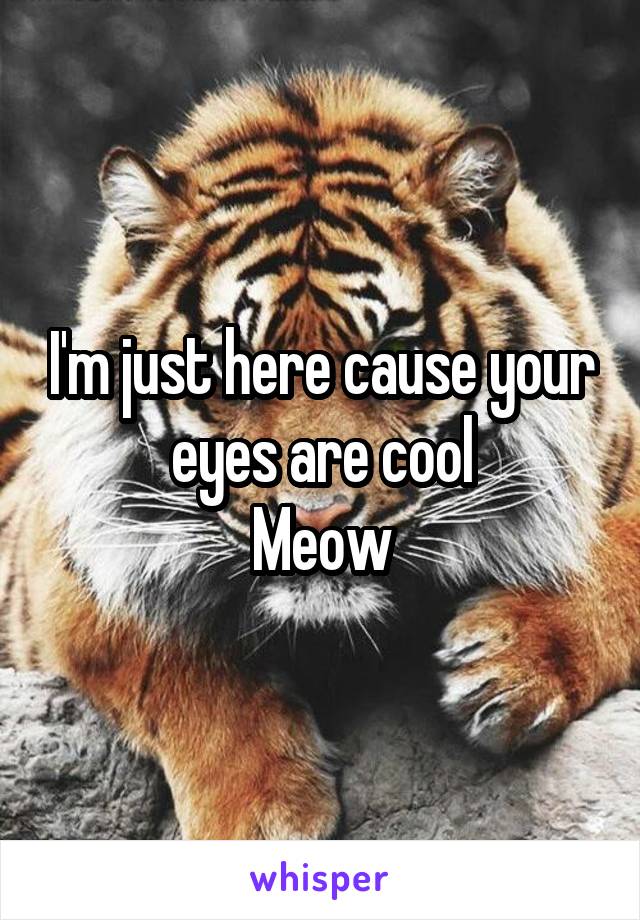 I'm just here cause your eyes are cool
Meow