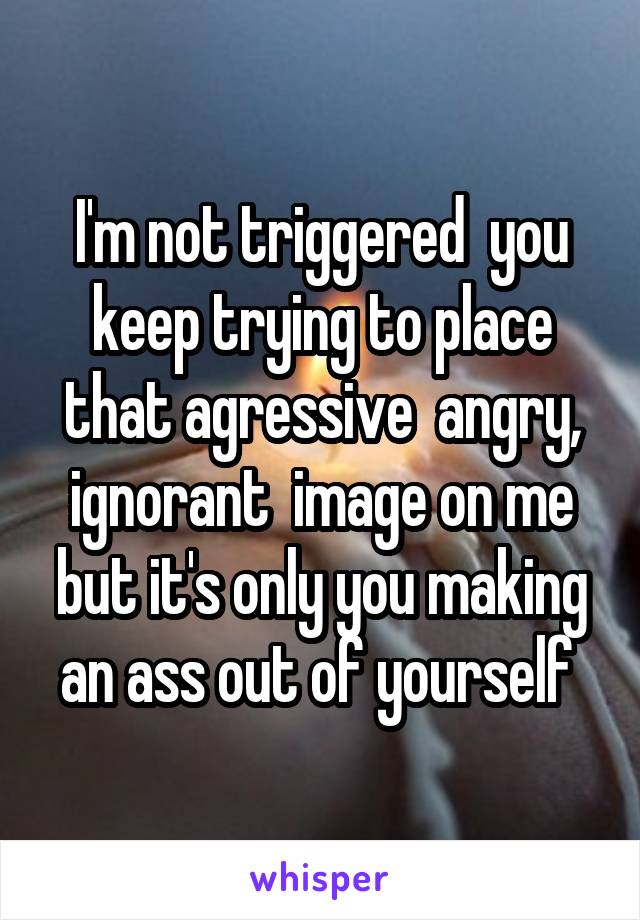 I'm not triggered  you keep trying to place that agressive  angry, ignorant  image on me but it's only you making an ass out of yourself 