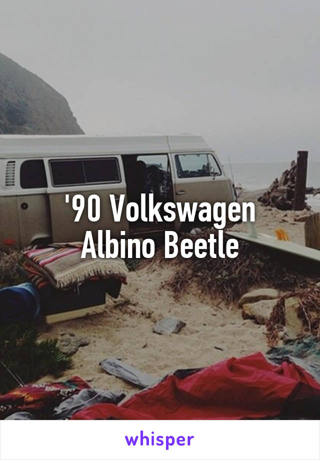 '90 Volkswagen
Albino Beetle