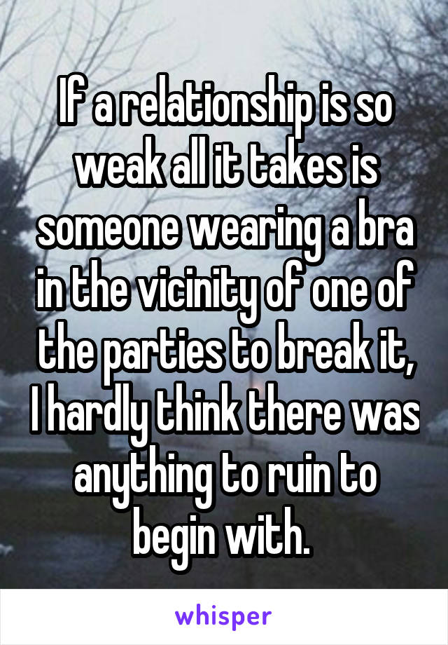 If a relationship is so weak all it takes is someone wearing a bra in the vicinity of one of the parties to break it, I hardly think there was anything to ruin to begin with. 