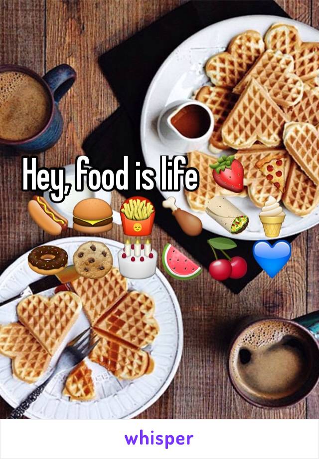 Hey, food is life 🍓🍕🌭🍔🍟🍗🌯🍦🍩🍪🎂🍉🍒💙