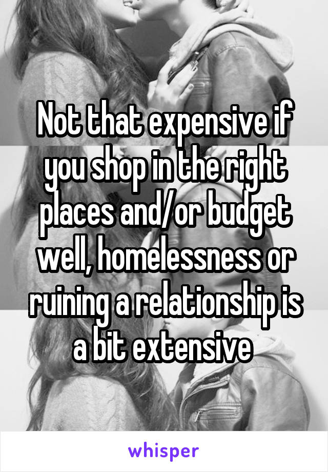 Not that expensive if you shop in the right places and/or budget well, homelessness or ruining a relationship is a bit extensive 