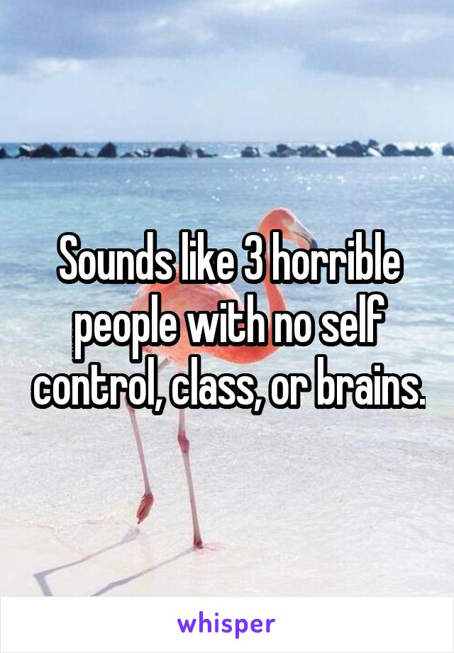 Sounds like 3 horrible people with no self control, class, or brains.