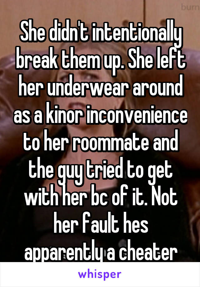 She didn't intentionally break them up. She left her underwear around as a kinor inconvenience to her roommate and the guy tried to get with her bc of it. Not her fault hes apparently a cheater