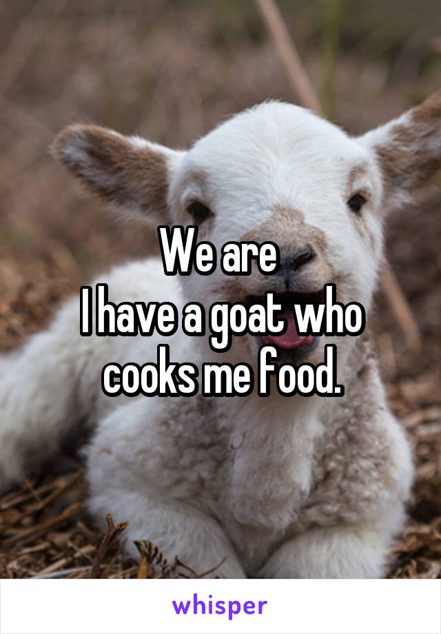 We are 
I have a goat who cooks me food.