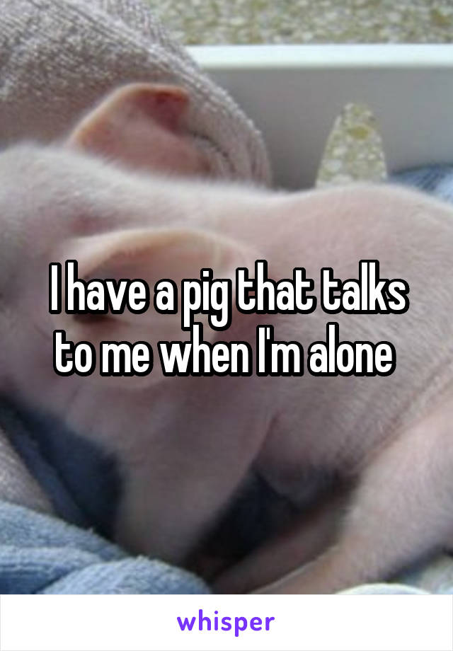 I have a pig that talks to me when I'm alone 