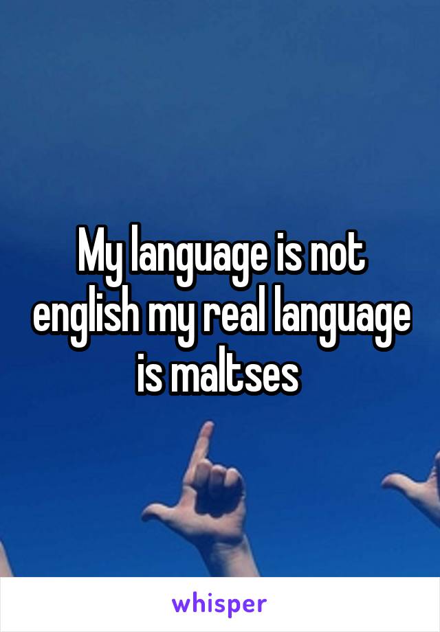 My language is not english my real language is maltses 