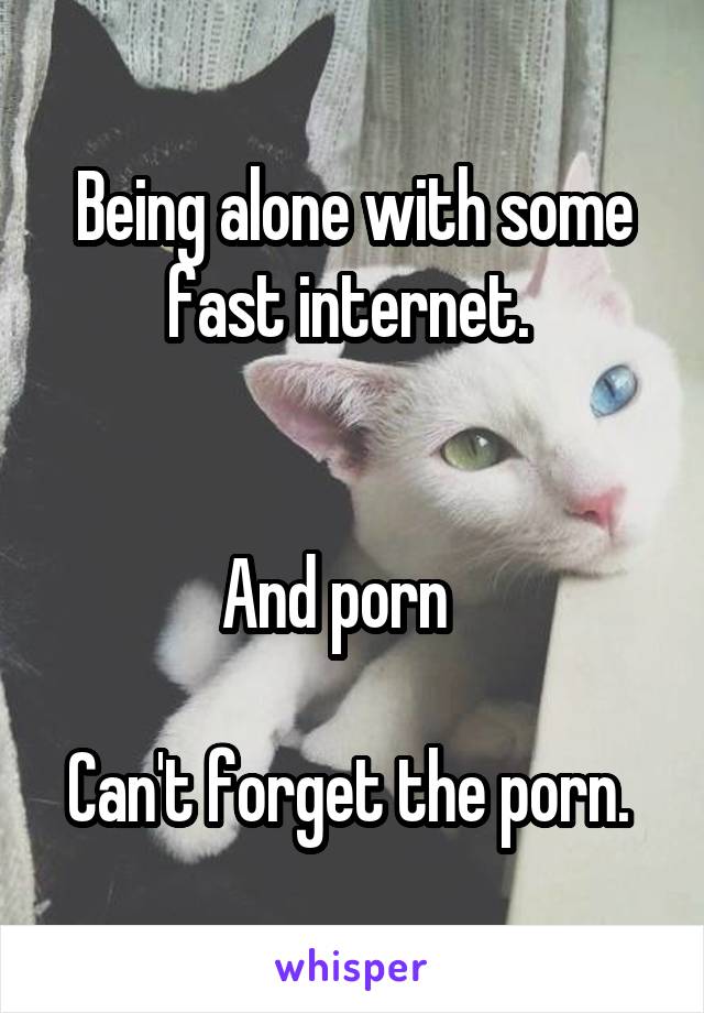 Being alone with some fast internet. 


And porn   

Can't forget the porn. 