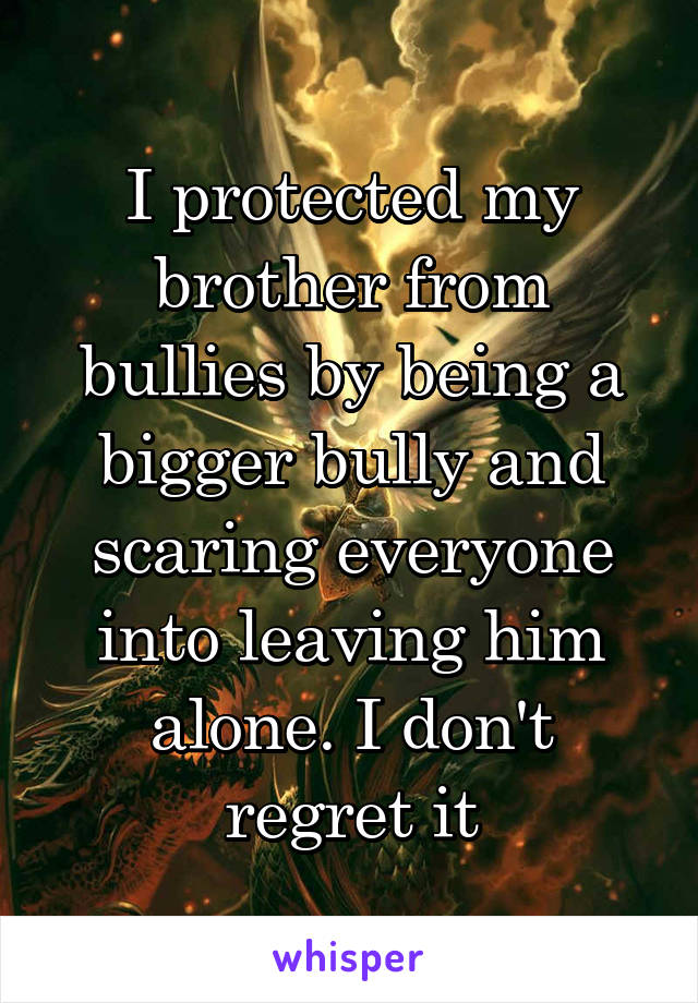 I protected my brother from bullies by being a bigger bully and scaring everyone into leaving him alone. I don't regret it