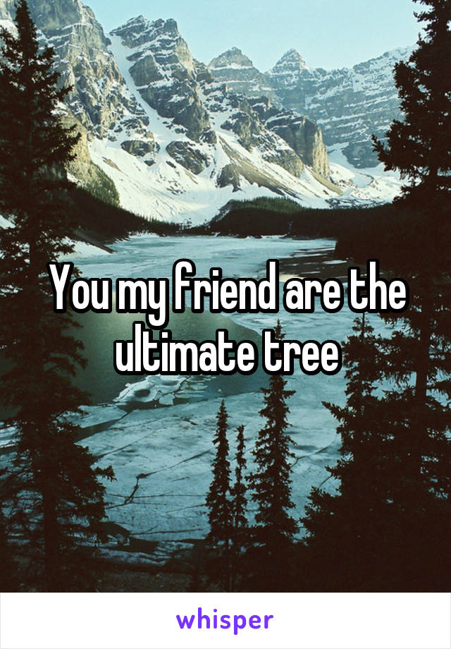 You my friend are the ultimate tree