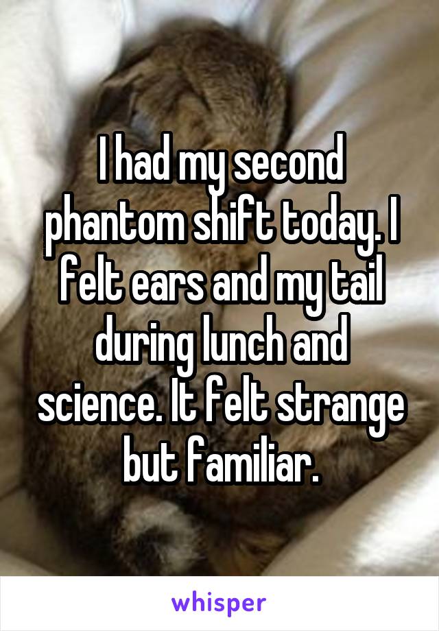 I had my second phantom shift today. I felt ears and my tail during lunch and science. It felt strange but familiar.