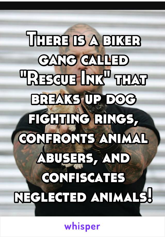 There is a biker gang called "Rescue Ink" that breaks up dog fighting rings, confronts animal abusers, and confiscates neglected animals!