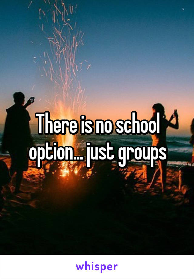 There is no school option... just groups