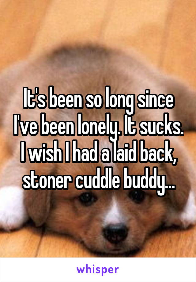 It's been so long since I've been lonely. It sucks. I wish I had a laid back, stoner cuddle buddy...