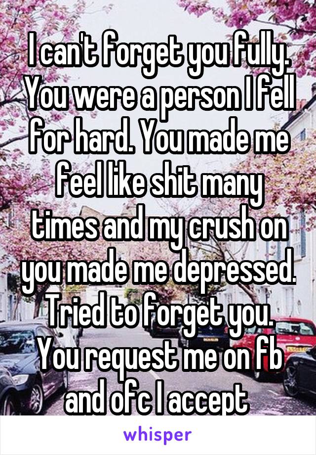 I can't forget you fully. You were a person I fell for hard. You made me feel like shit many times and my crush on you made me depressed. Tried to forget you. You request me on fb and ofc I accept 