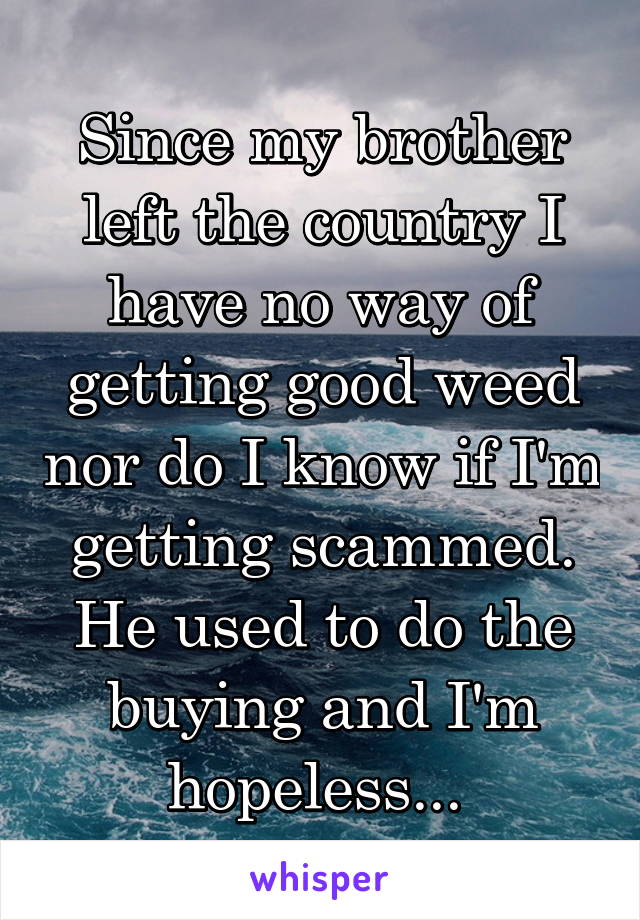 Since my brother left the country I have no way of getting good weed nor do I know if I'm getting scammed. He used to do the buying and I'm hopeless... 