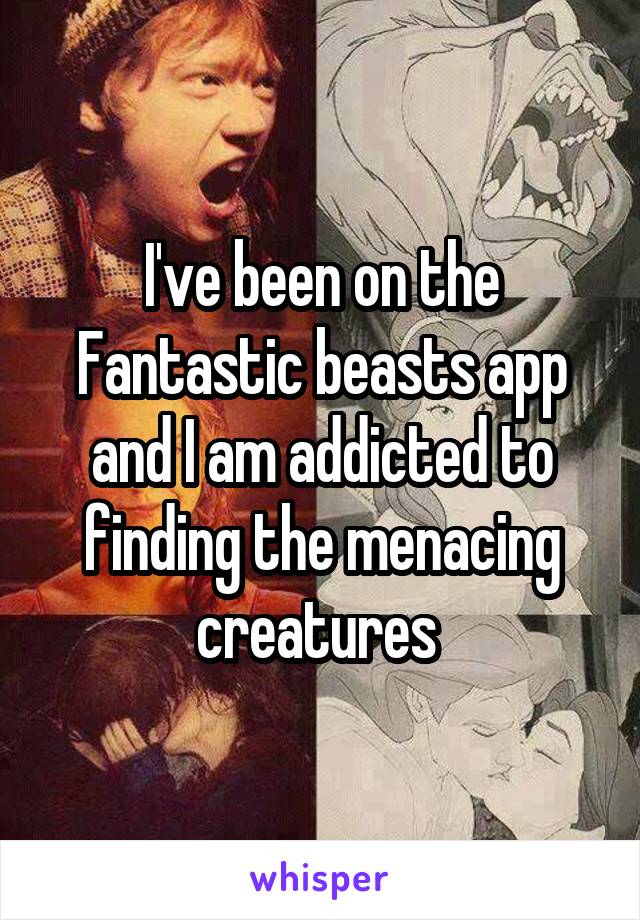 I've been on the Fantastic beasts app and I am addicted to finding the menacing creatures 