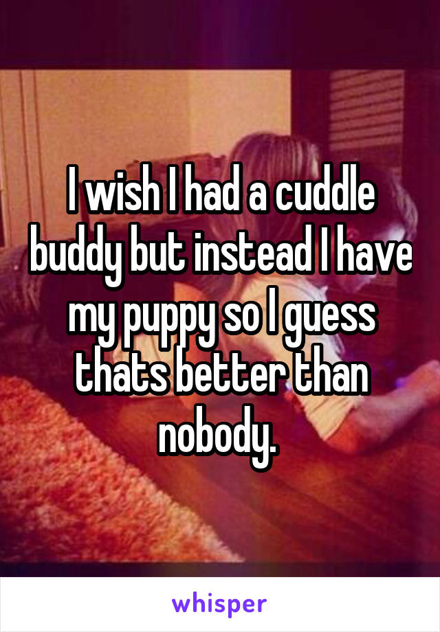 I wish I had a cuddle buddy but instead I have my puppy so I guess thats better than nobody. 