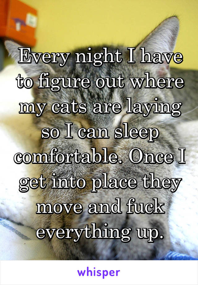 Every night I have to figure out where my cats are laying so I can sleep comfortable. Once I get into place they move and fuck everything up.