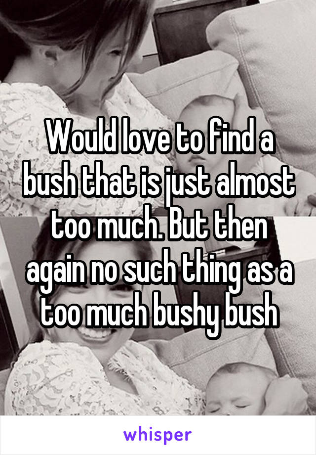 Would love to find a bush that is just almost too much. But then again no such thing as a too much bushy bush