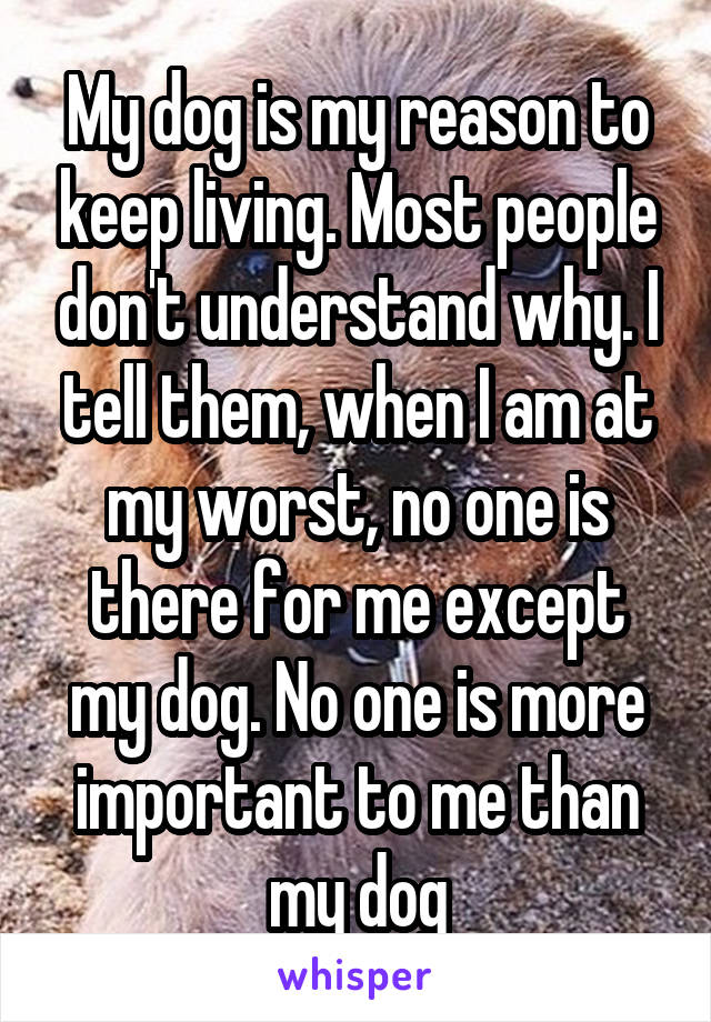 My dog is my reason to keep living. Most people don't understand why. I tell them, when I am at my worst, no one is there for me except my dog. No one is more important to me than my dog