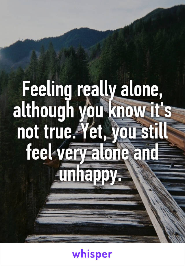 Feeling really alone, although you know it's not true. Yet, you still feel very alone and unhappy. 