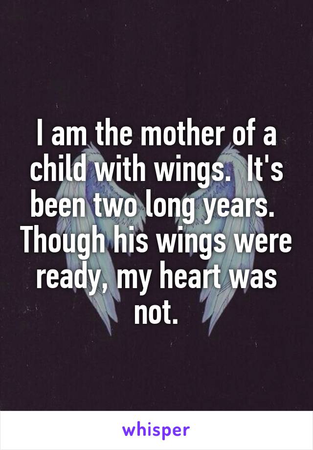 I am the mother of a child with wings.  It's been two long years.  Though his wings were ready, my heart was not.