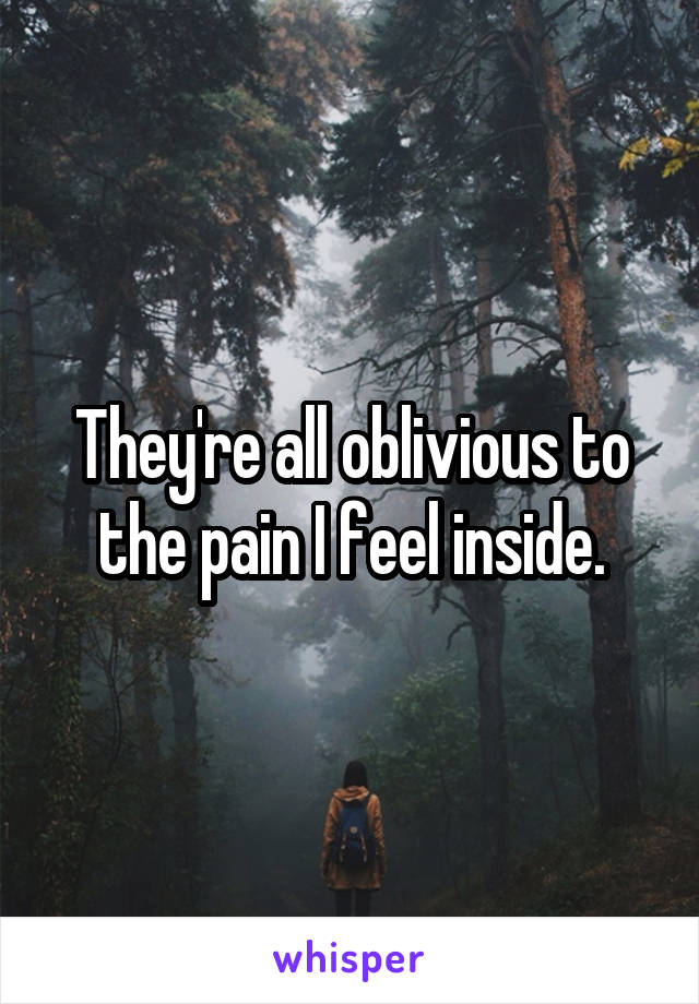 They're all oblivious to the pain I feel inside.