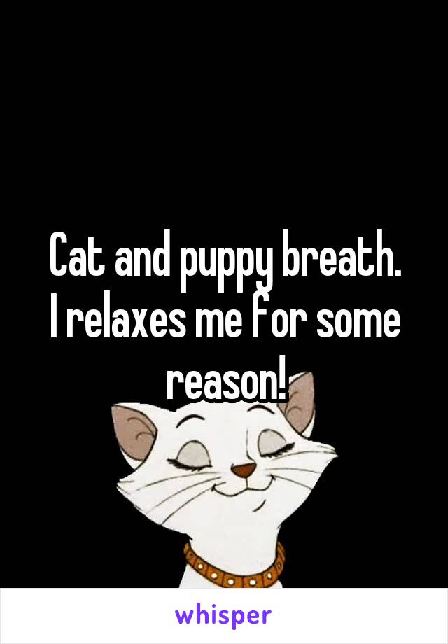 Cat and puppy breath.
I relaxes me for some reason!