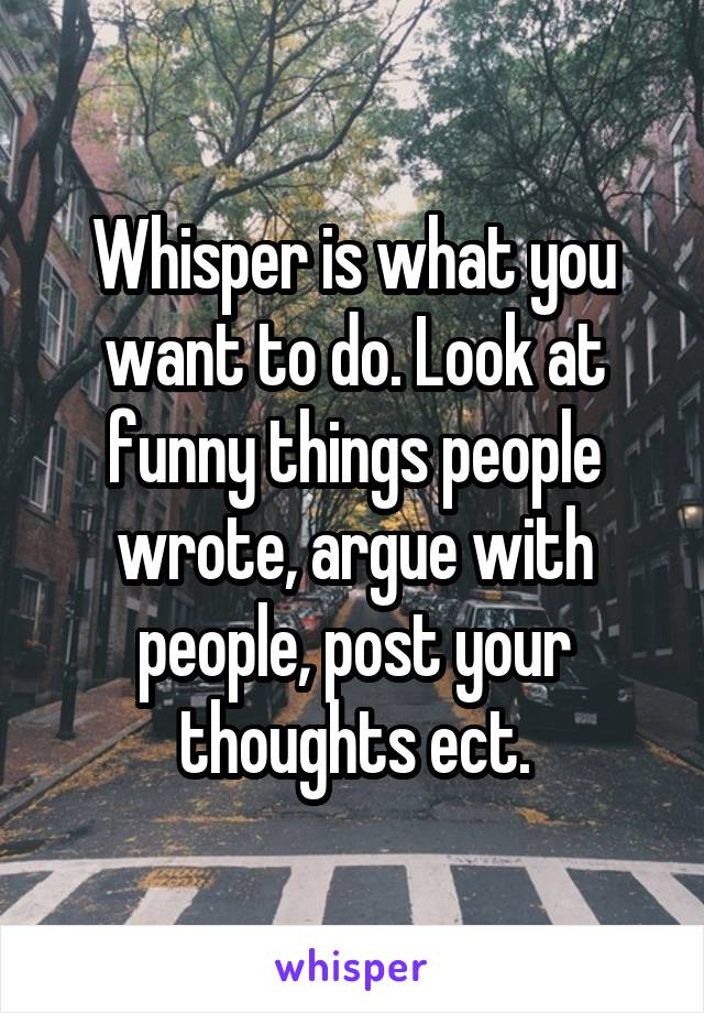 Whisper is what you want to do. Look at funny things people wrote, argue with people, post your thoughts ect.