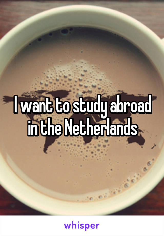 I want to study abroad in the Netherlands