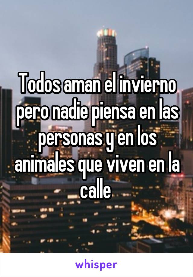 Todos aman el invierno pero nadie piensa en las personas y en los animales que viven en la calle 