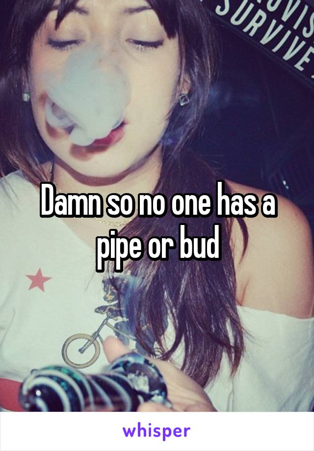 Damn so no one has a pipe or bud