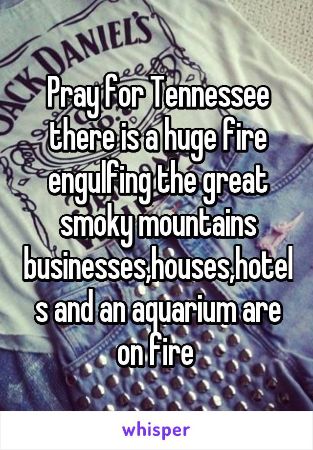 Pray for Tennessee there is a huge fire engulfing the great smoky mountains businesses,houses,hotels and an aquarium are on fire 