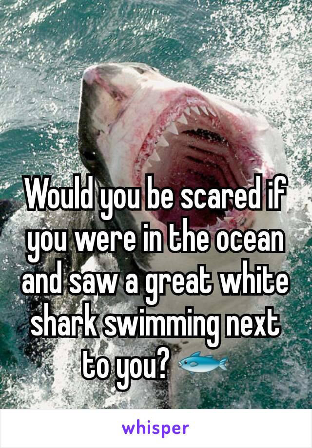 Would you be scared if you were in the ocean and saw a great white shark swimming next to you? 🐟