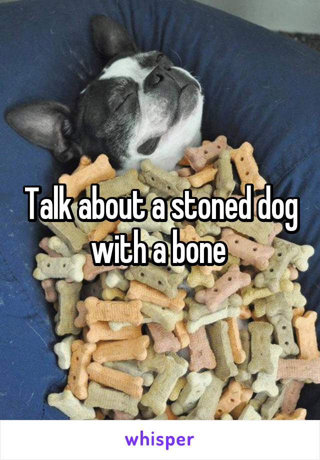 Talk about a stoned dog with a bone 