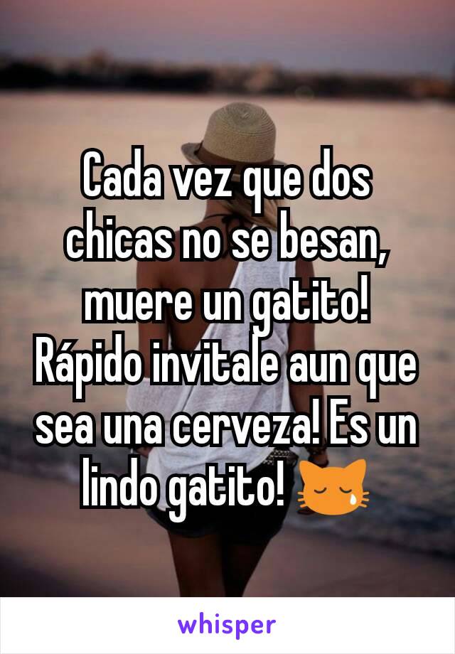 Cada vez que dos chicas no se besan, muere un gatito! Rápido invitale aun que sea una cerveza! Es un lindo gatito! 😿