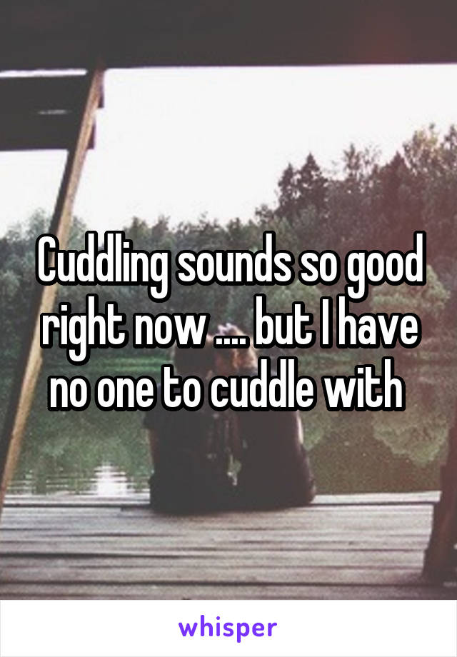 Cuddling sounds so good right now .... but I have no one to cuddle with 