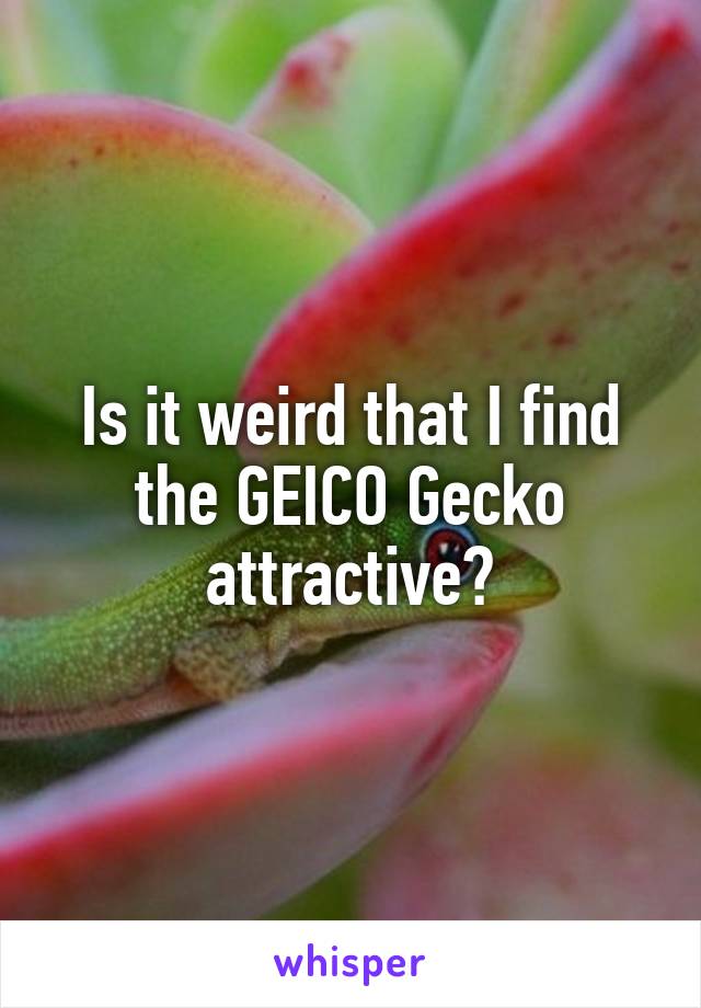 Is it weird that I find the GEICO Gecko attractive?