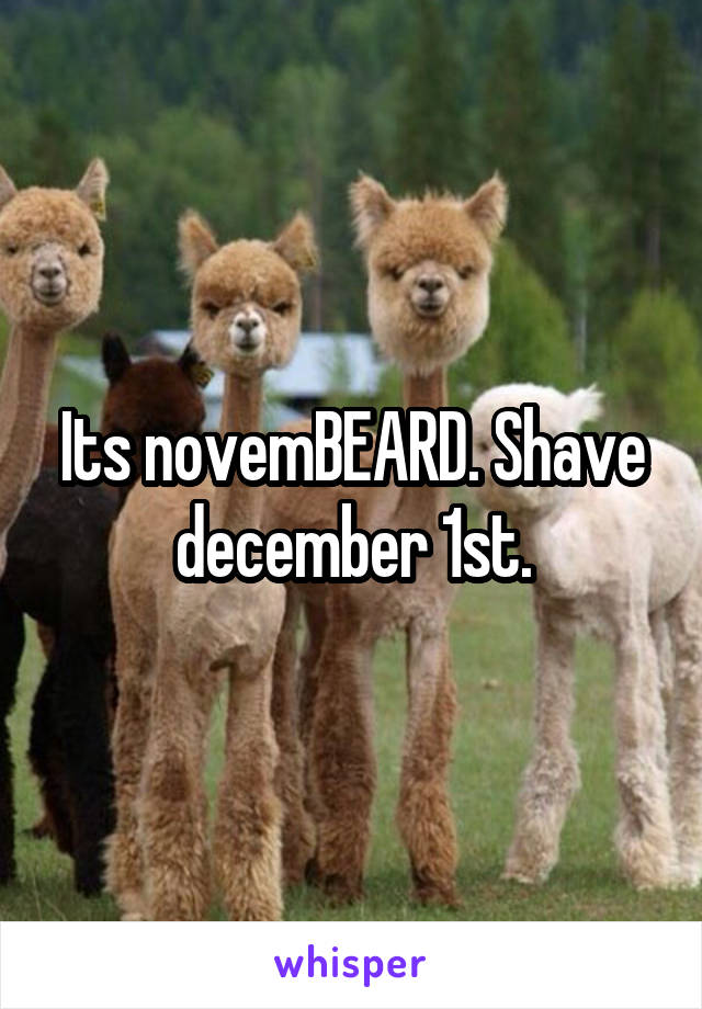 Its novemBEARD. Shave december 1st.